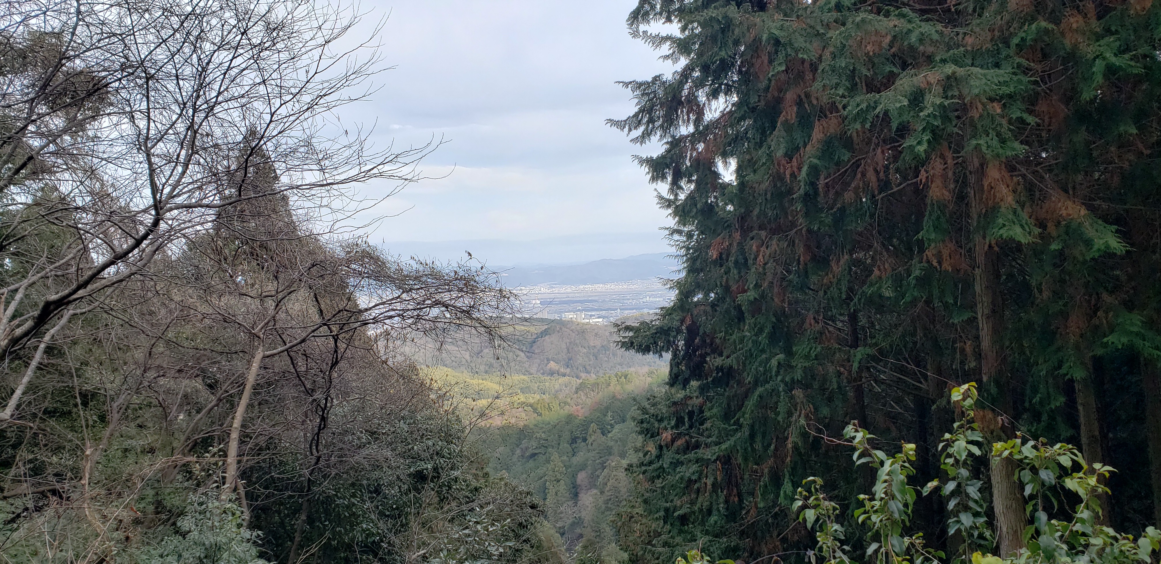 f:id:peasandcarrots:20210309123917j:plain:w400