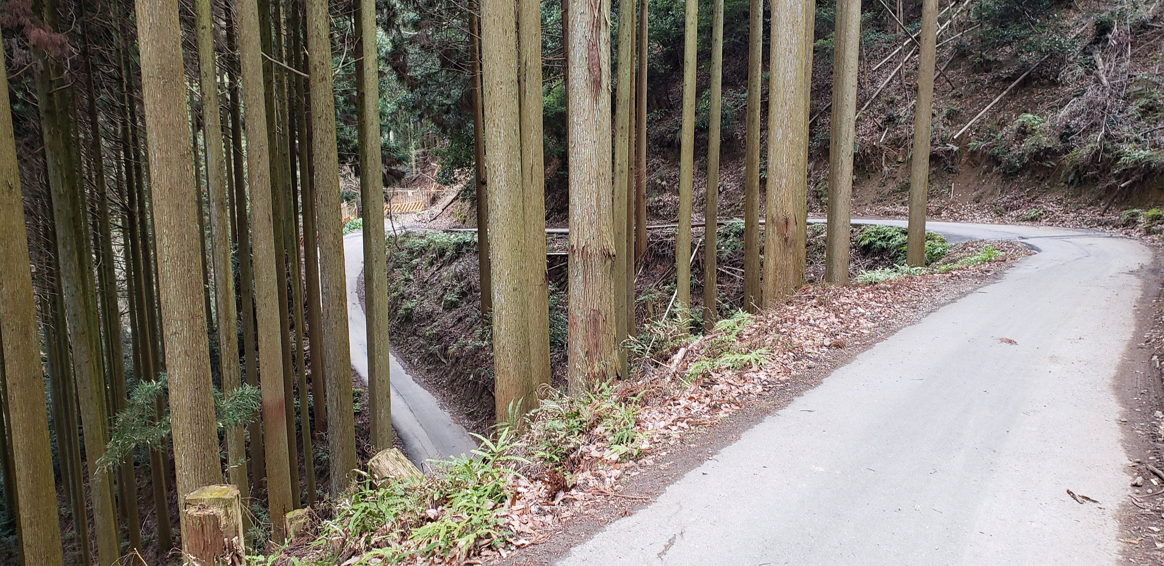 f:id:peasandcarrots:20210309123956j:plain:w400