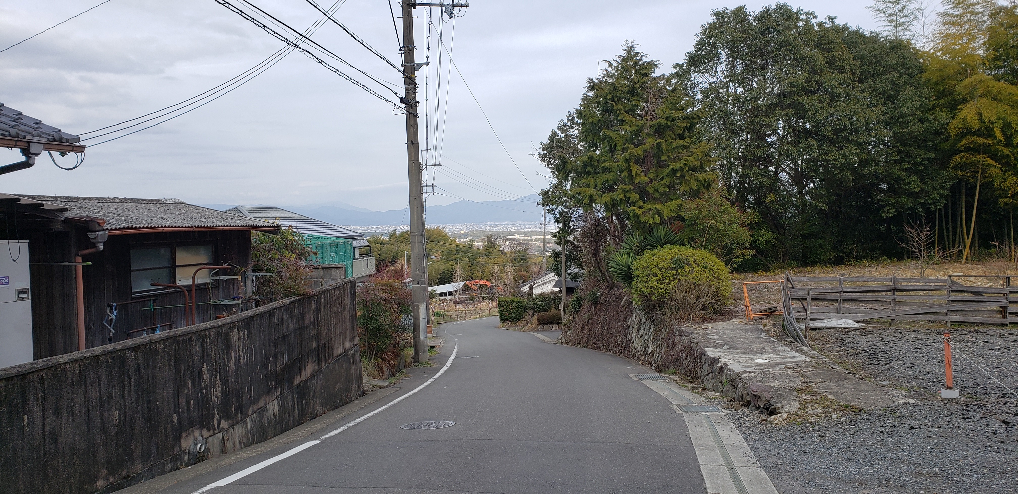 f:id:peasandcarrots:20210309124026j:plain:w400