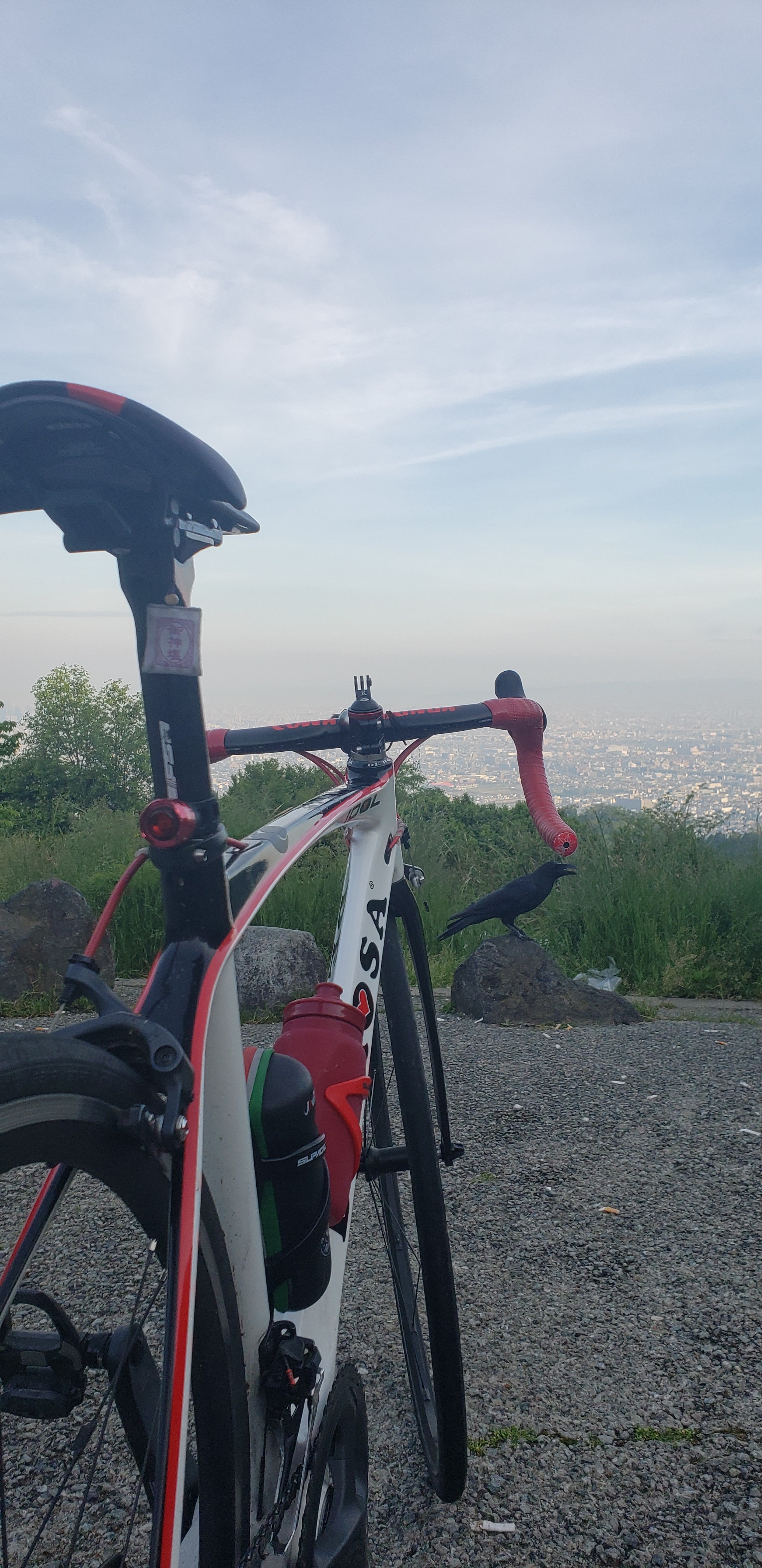 f:id:peasandcarrots:20210528000617j:plain:w400