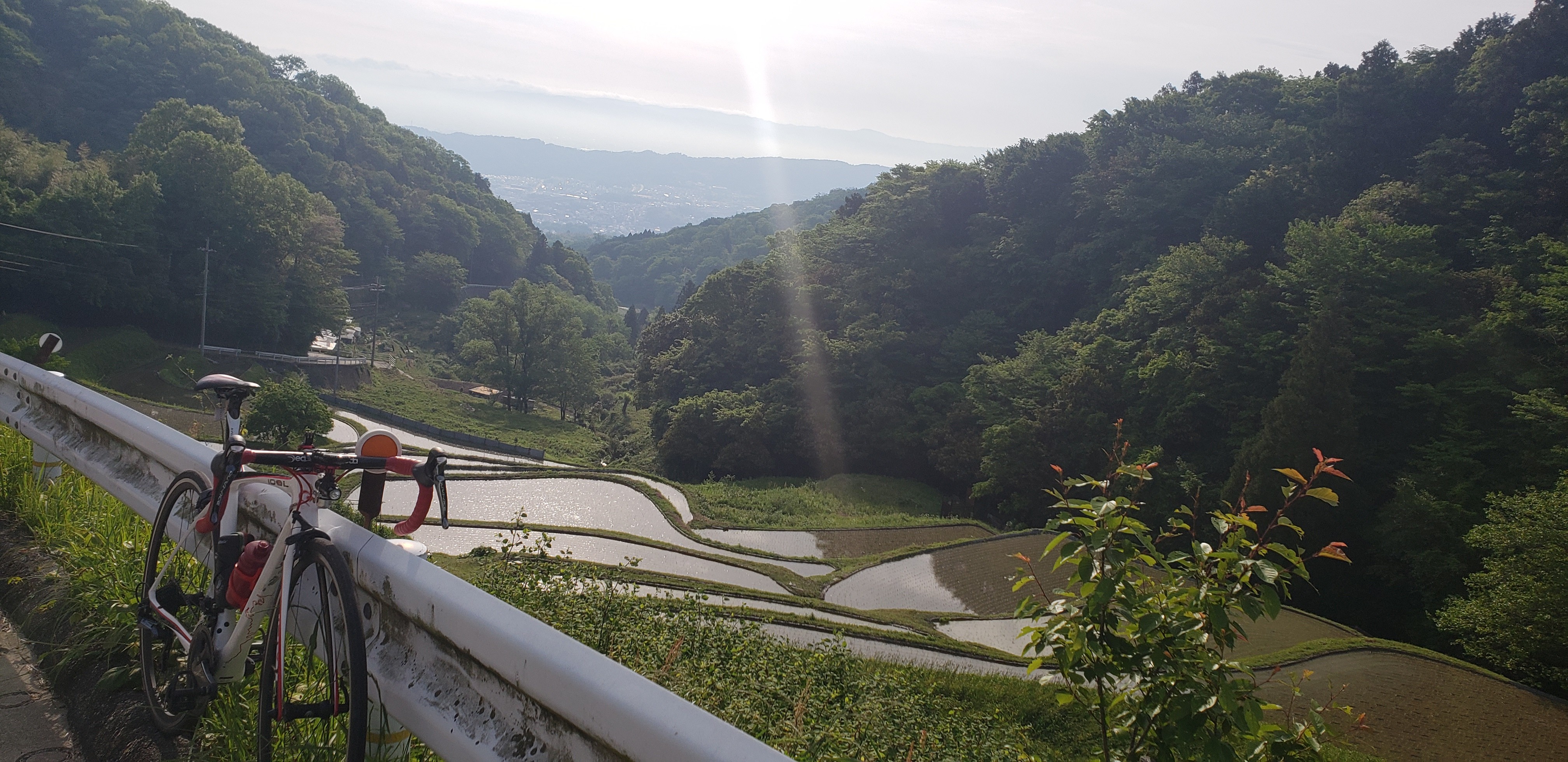 f:id:peasandcarrots:20210531231818j:plain:w400