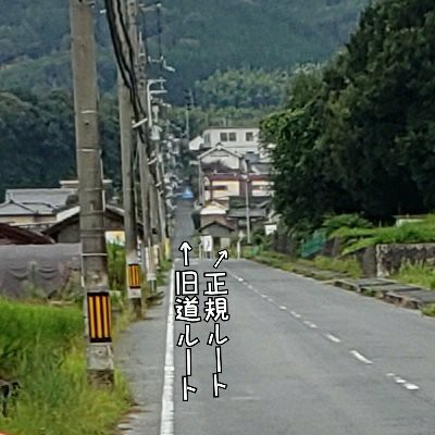 f:id:peasandcarrots:20210903064444j:plain:w400