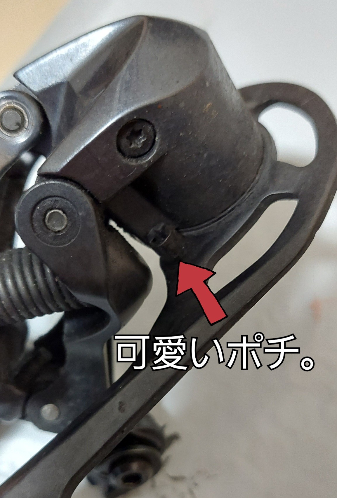 f:id:peasandcarrots:20220106235519j:plain:w400