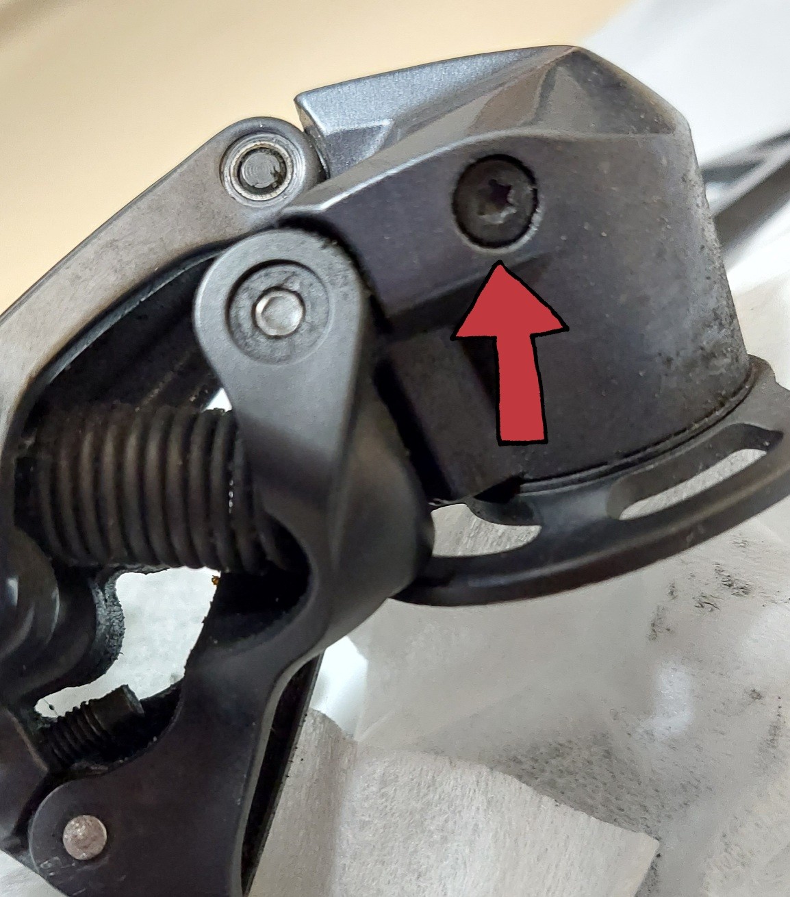 f:id:peasandcarrots:20220106235931j:plain:w400