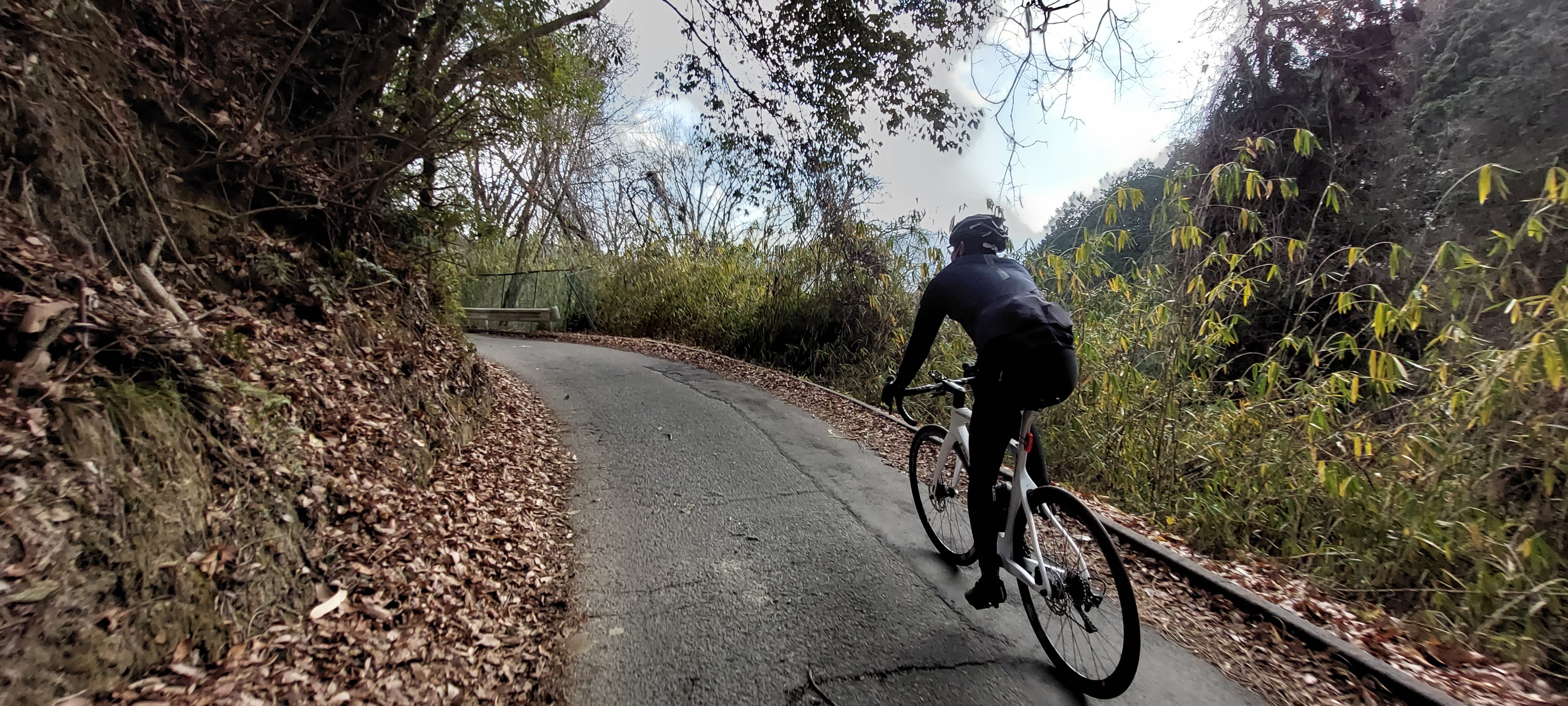 f:id:peasandcarrots:20220124124108j:plain:w400