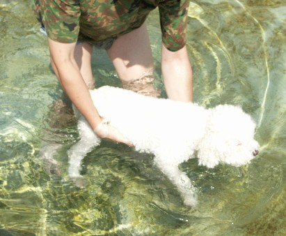 f:id:pechankosan:20070813214743j:image