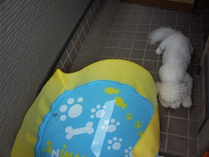 f:id:pechankosan:20070813214853j:image