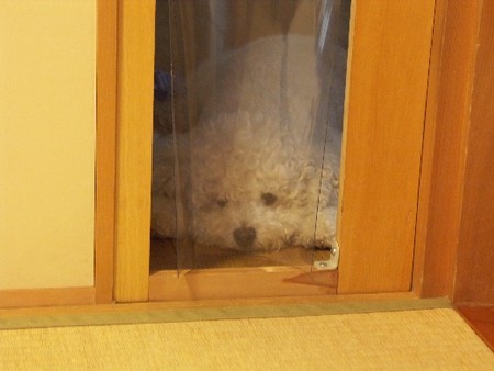 f:id:pechankosan:20070816174109j:image