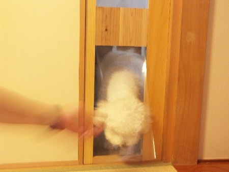 f:id:pechankosan:20070816174219j:image