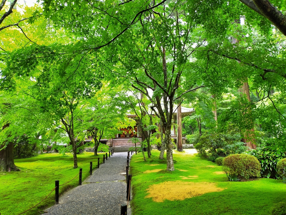 f:id:pechinda:20200823003056j:plain f:id:pechinda:20200823003056j:plain