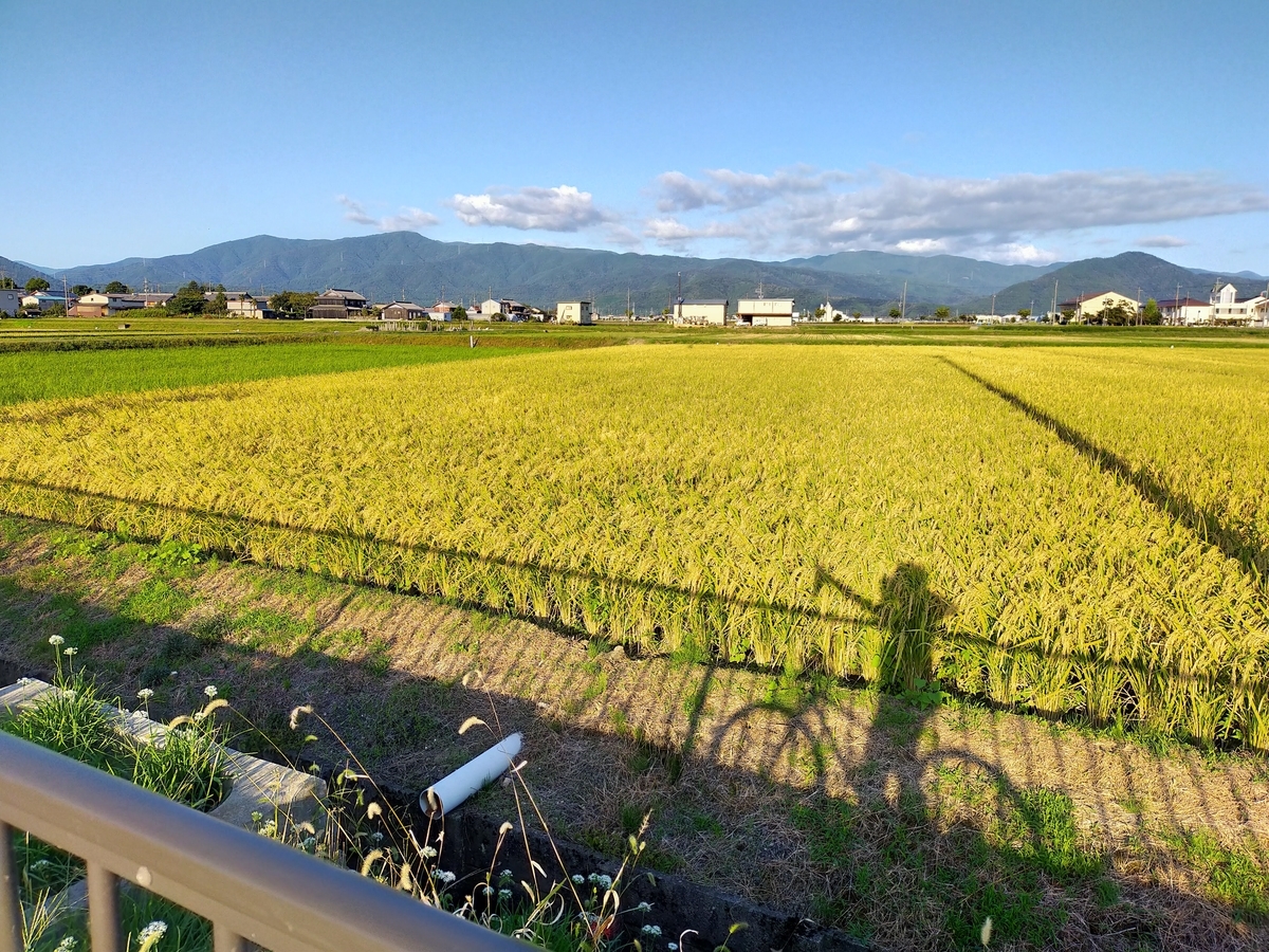 f:id:pechinda:20201006020634j:plain f:id:pechinda:20201006020634j:plain