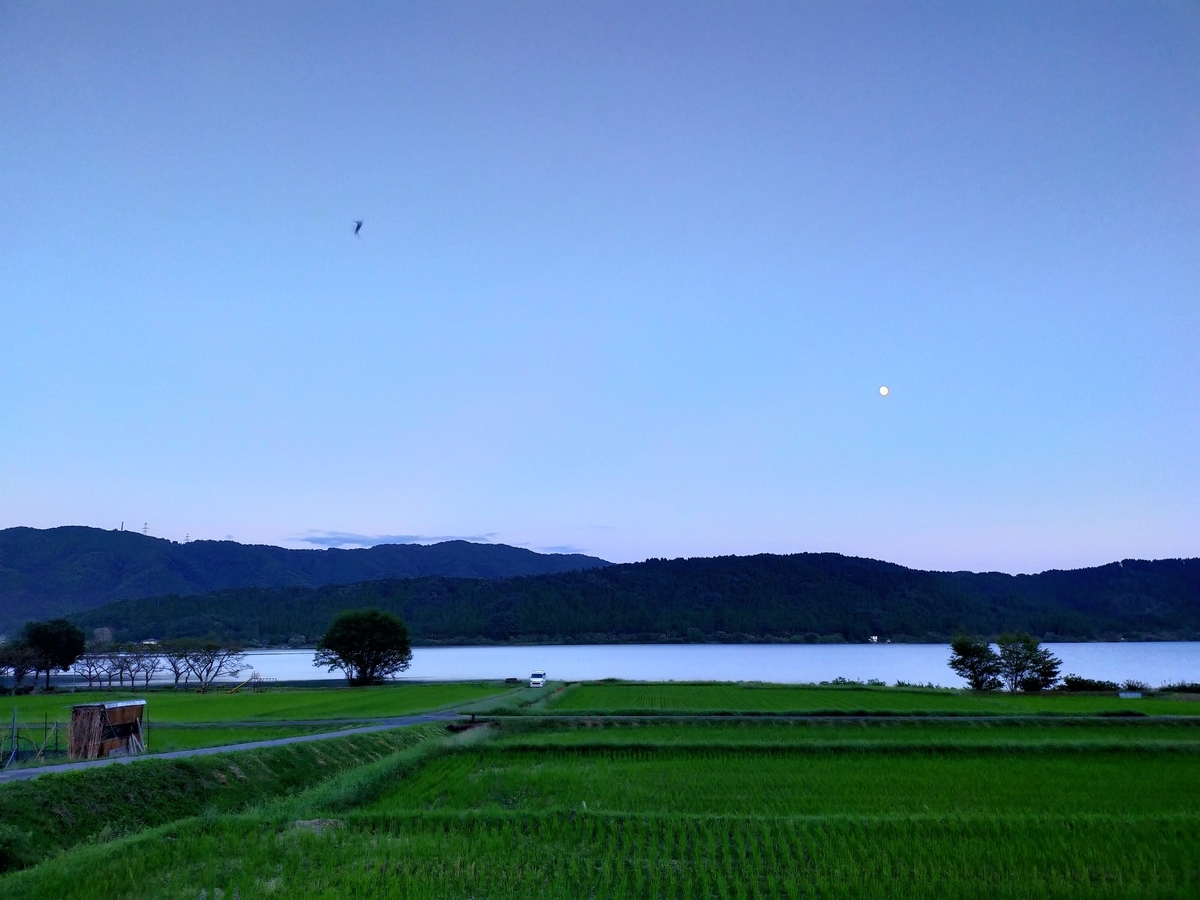 f:id:pechinda:20201006025320j:plain f:id:pechinda:20201006025320j:plain
