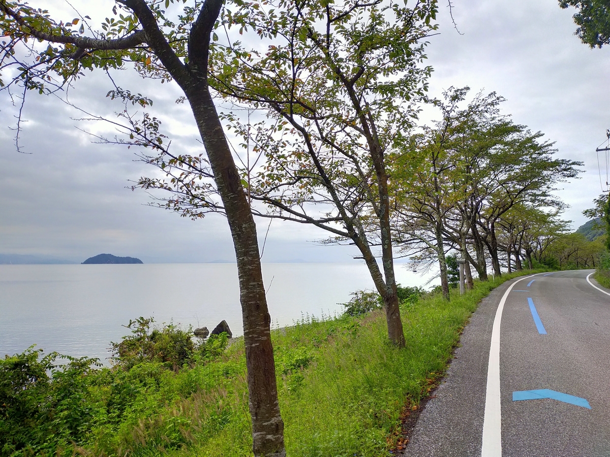 f:id:pechinda:20201116235248j:plain