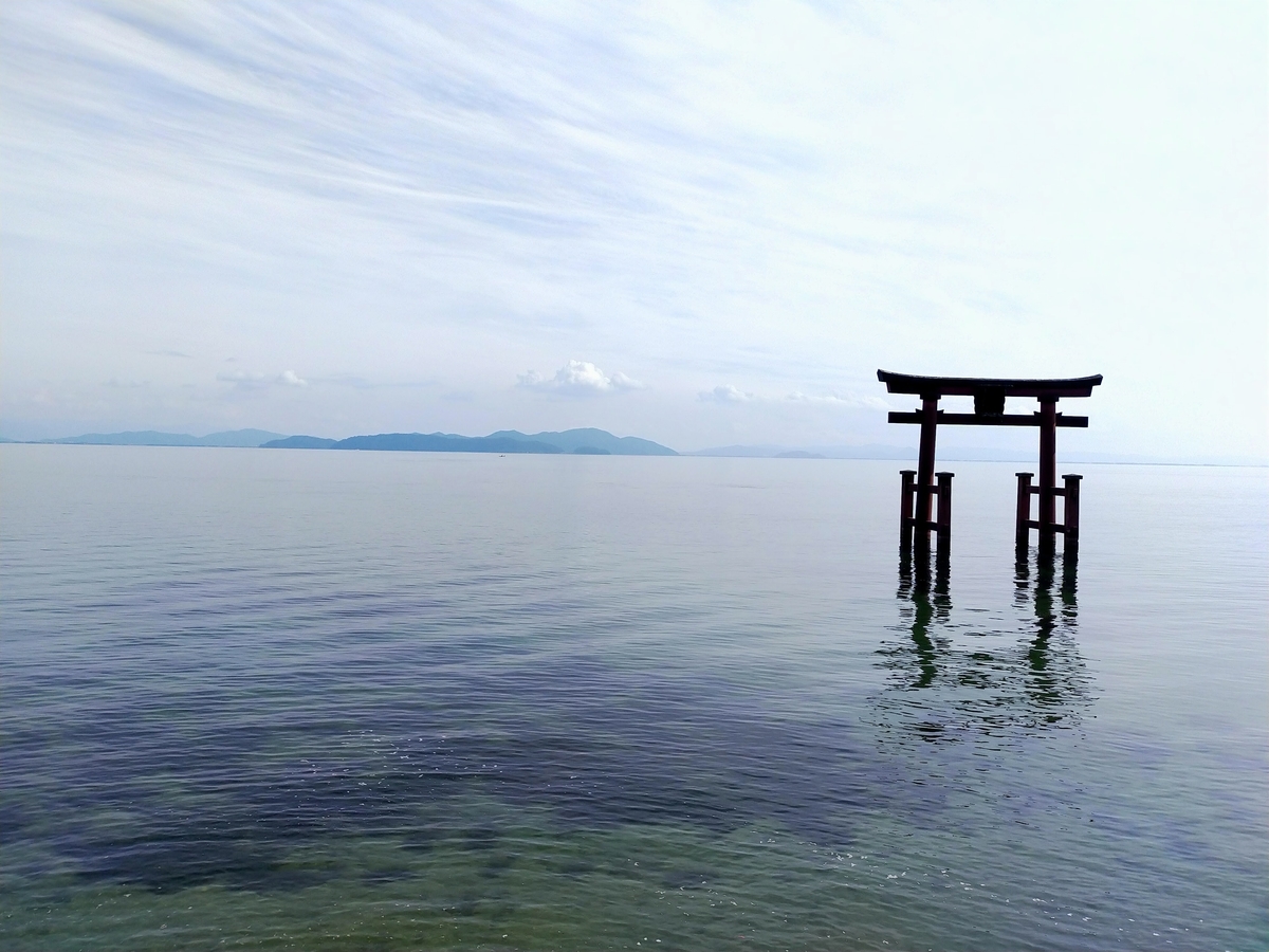 f:id:pechinda:20201117001221j:plain