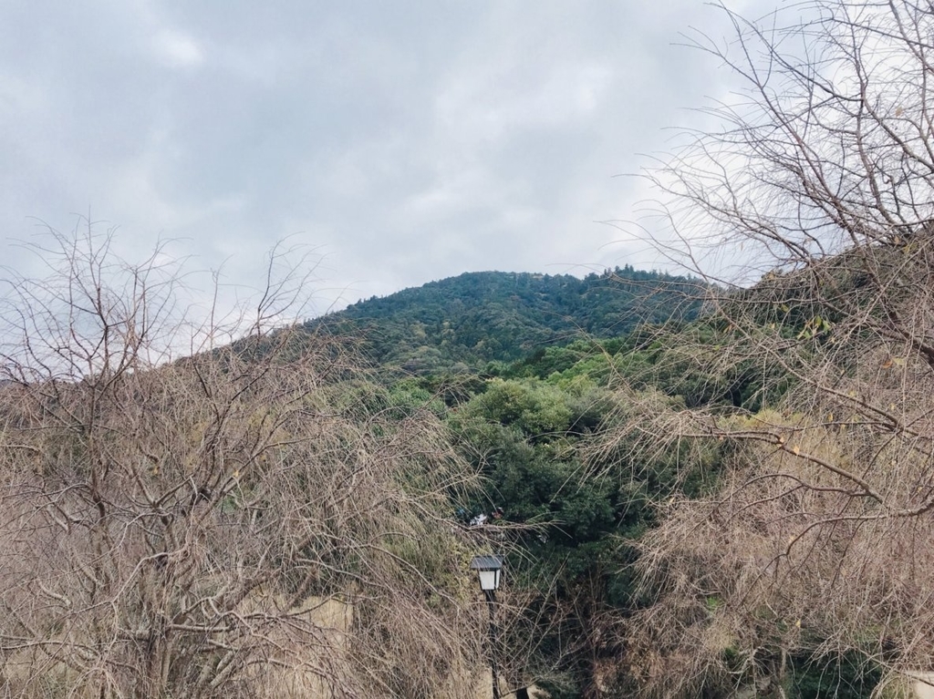f:id:pecopeconecco:20181127153747j:plain f:id:pecopeconecco:20181127153747j:plain