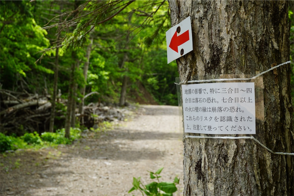 f:id:pecopecoooom:20190605015311j:image f:id:pecopecoooom:20190605015311j:image