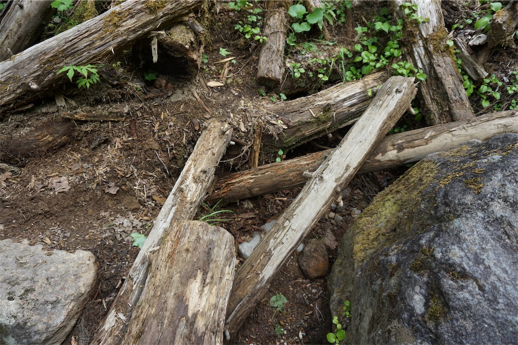 f:id:pecopecoooom:20190605015912j:image f:id:pecopecoooom:20190605015912j:image