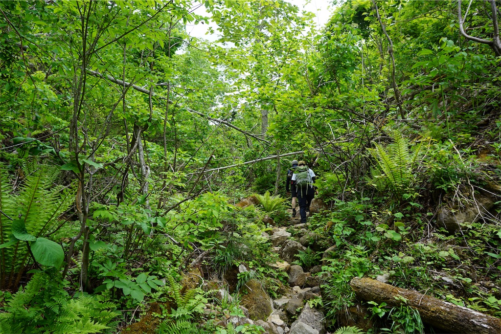f:id:pecopecoooom:20190605020712j:image f:id:pecopecoooom:20190605020712j:image