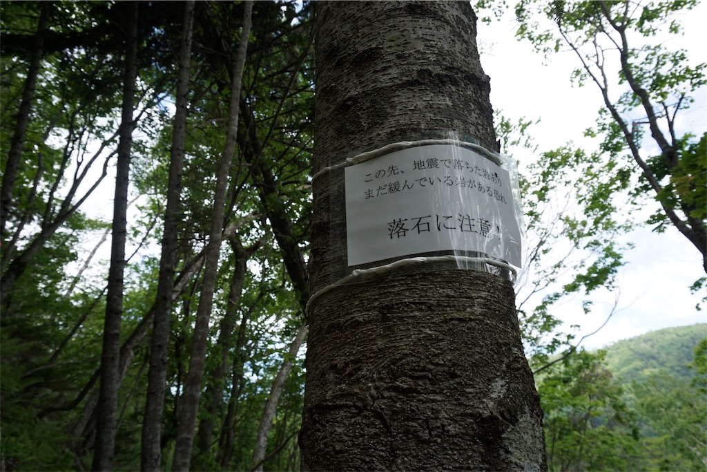 f:id:pecopecoooom:20190605021018j:image f:id:pecopecoooom:20190605021018j:image