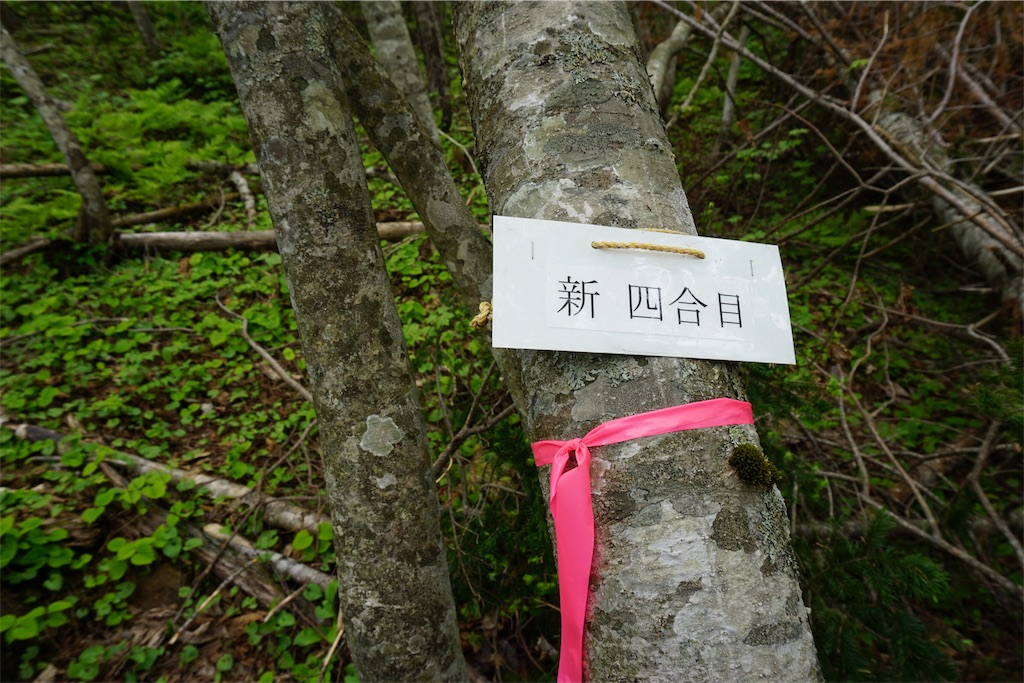 f:id:pecopecoooom:20190605021145j:image f:id:pecopecoooom:20190605021145j:image