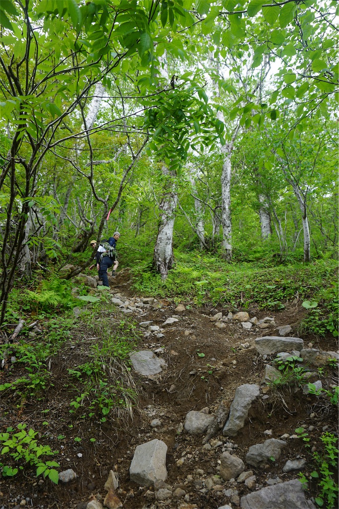 f:id:pecopecoooom:20190605021624j:image f:id:pecopecoooom:20190605021624j:image