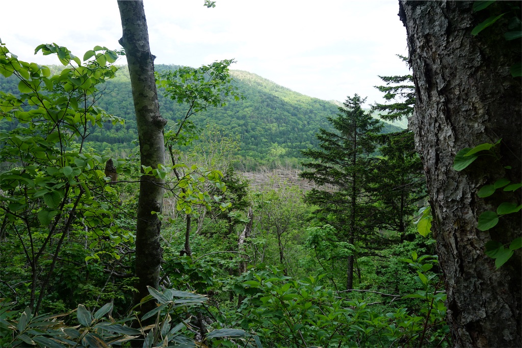 f:id:pecopecoooom:20190605021628j:image f:id:pecopecoooom:20190605021628j:image