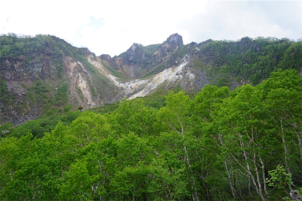 f:id:pecopecoooom:20190607175114j:image f:id:pecopecoooom:20190607175114j:image