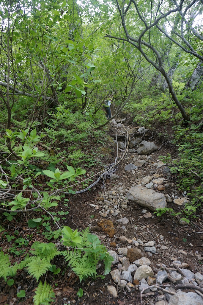 f:id:pecopecoooom:20190607180109j:image f:id:pecopecoooom:20190607180109j:image