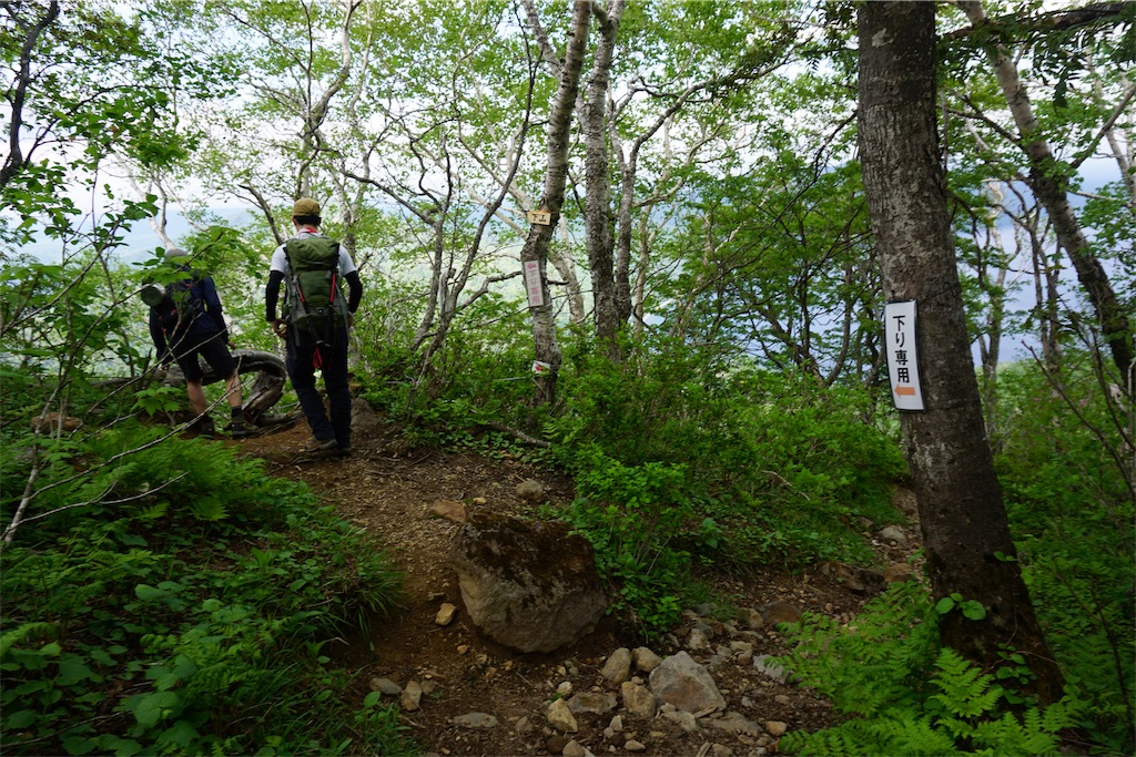 f:id:pecopecoooom:20190607180118j:image f:id:pecopecoooom:20190607180118j:image