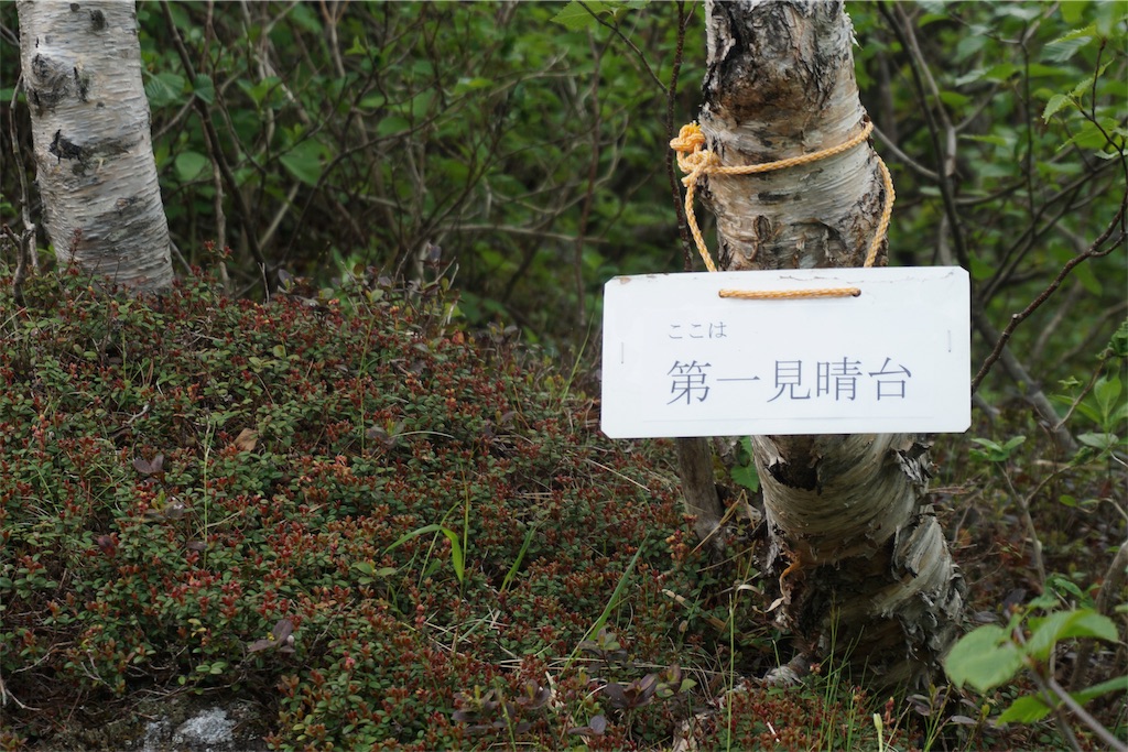 f:id:pecopecoooom:20190607182612j:image f:id:pecopecoooom:20190607182612j:image