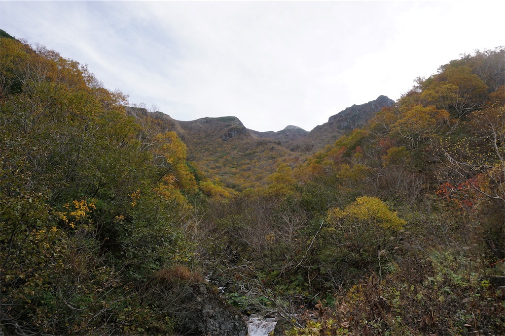 f:id:pecopecoooom:20191011211917j:image f:id:pecopecoooom:20191011211917j:image