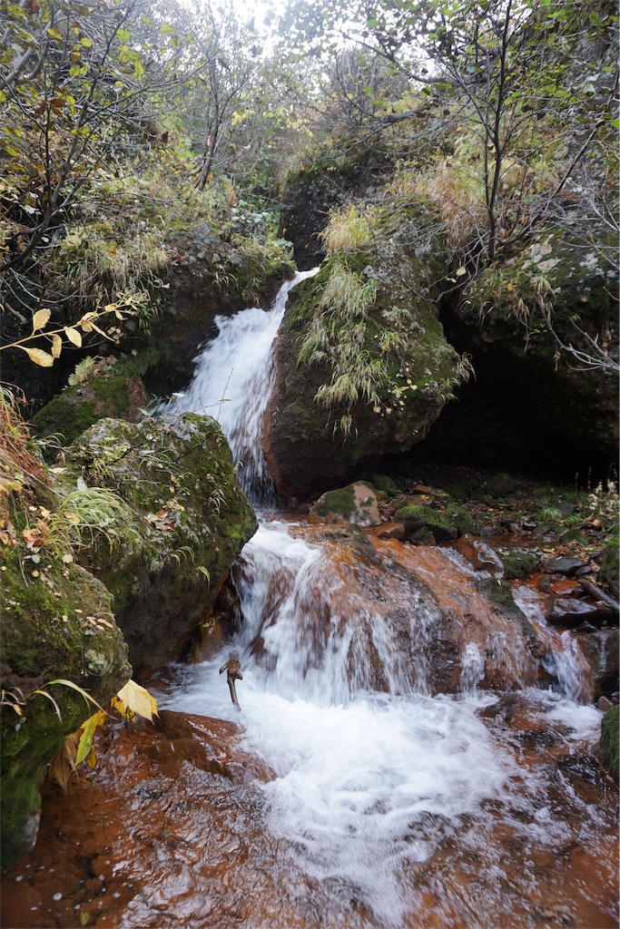 f:id:pecopecoooom:20191011212039j:image f:id:pecopecoooom:20191011212039j:image