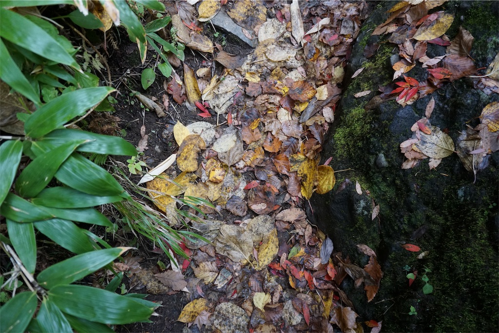 f:id:pecopecoooom:20191011212158j:image f:id:pecopecoooom:20191011212158j:image