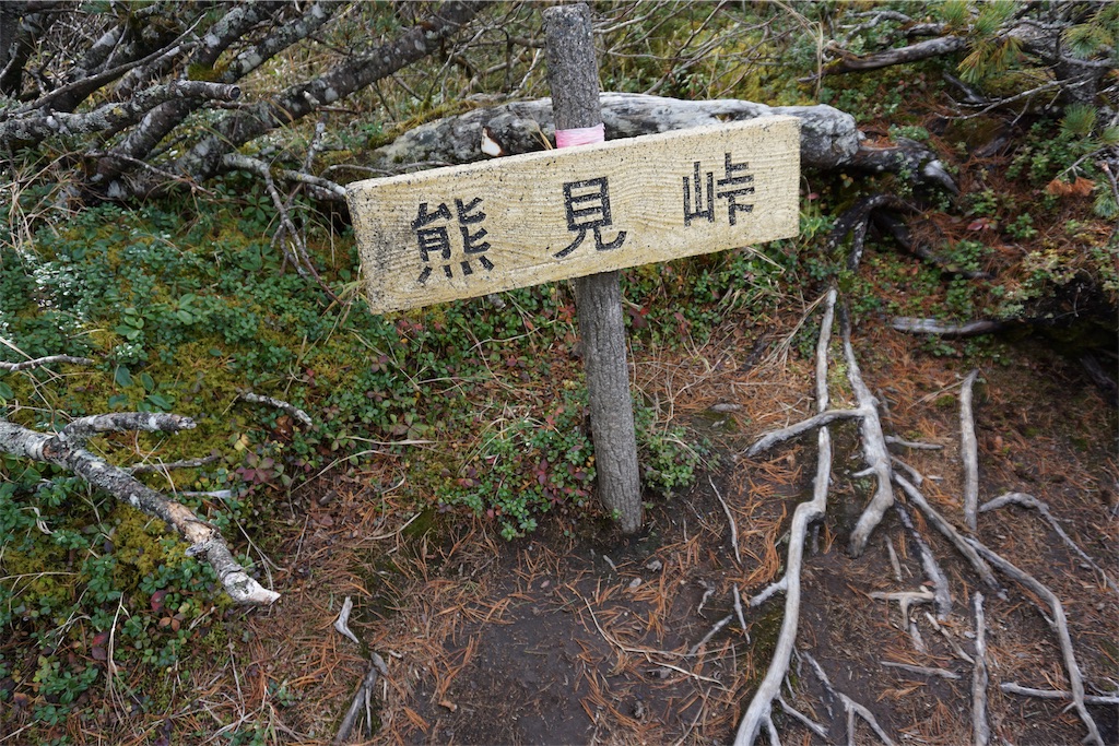 f:id:pecopecoooom:20191011212916j:image f:id:pecopecoooom:20191011212916j:image