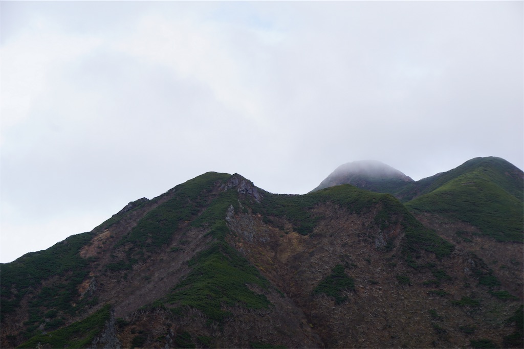 f:id:pecopecoooom:20191011212933j:image f:id:pecopecoooom:20191011212933j:image
