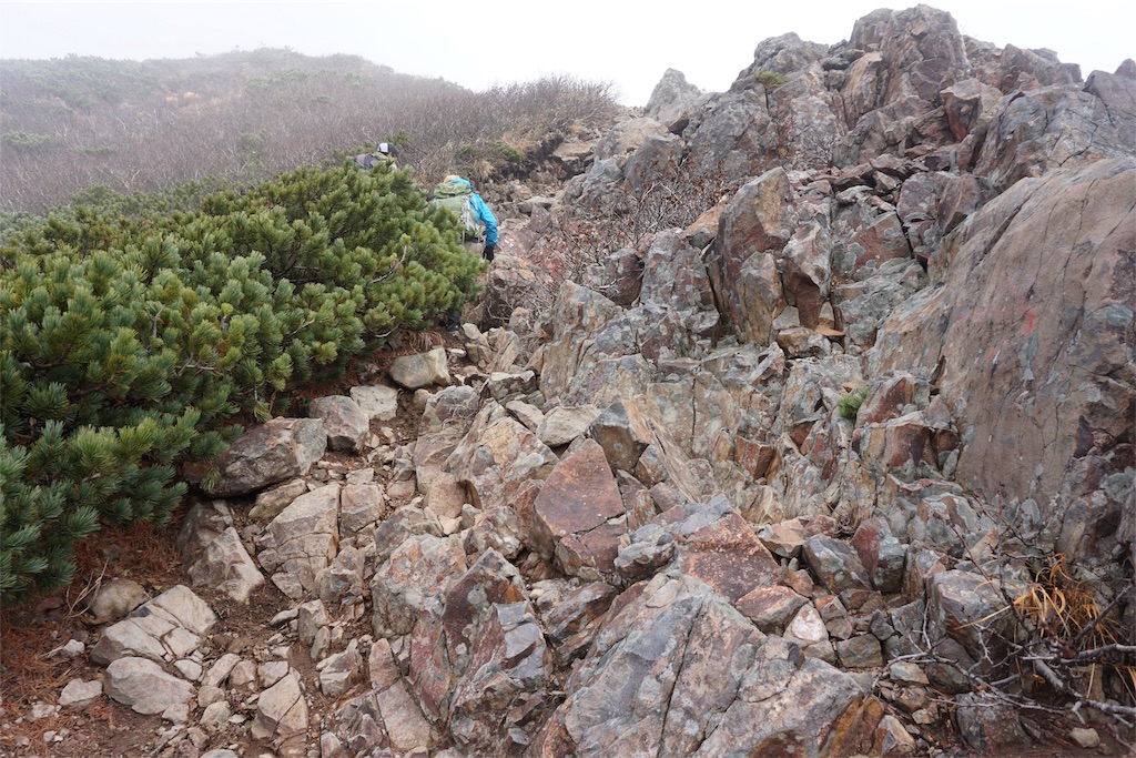 f:id:pecopecoooom:20191011213006j:image f:id:pecopecoooom:20191011213006j:image