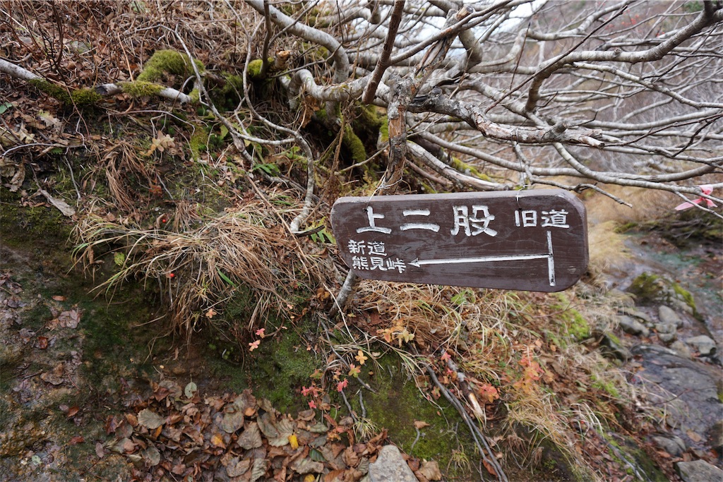 f:id:pecopecoooom:20191011213018j:image f:id:pecopecoooom:20191011213018j:image