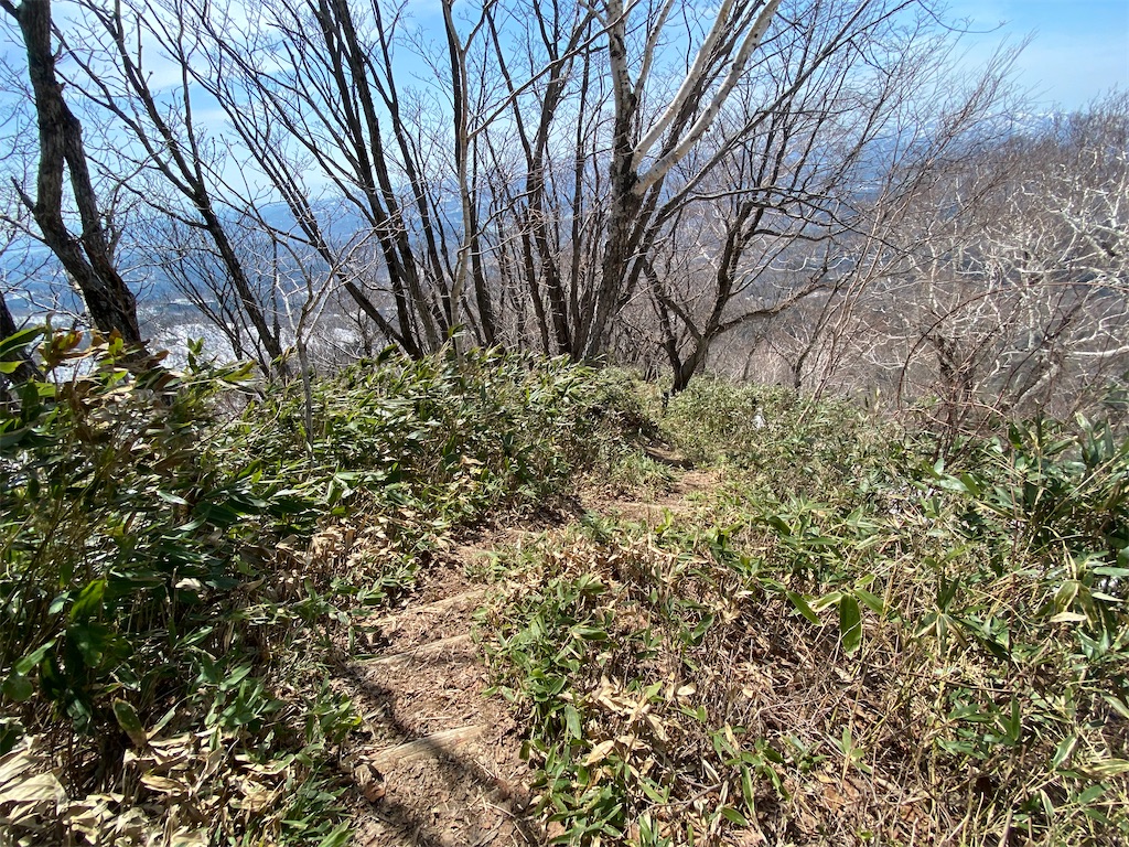 f:id:pecopecoooom:20220514014336j:image