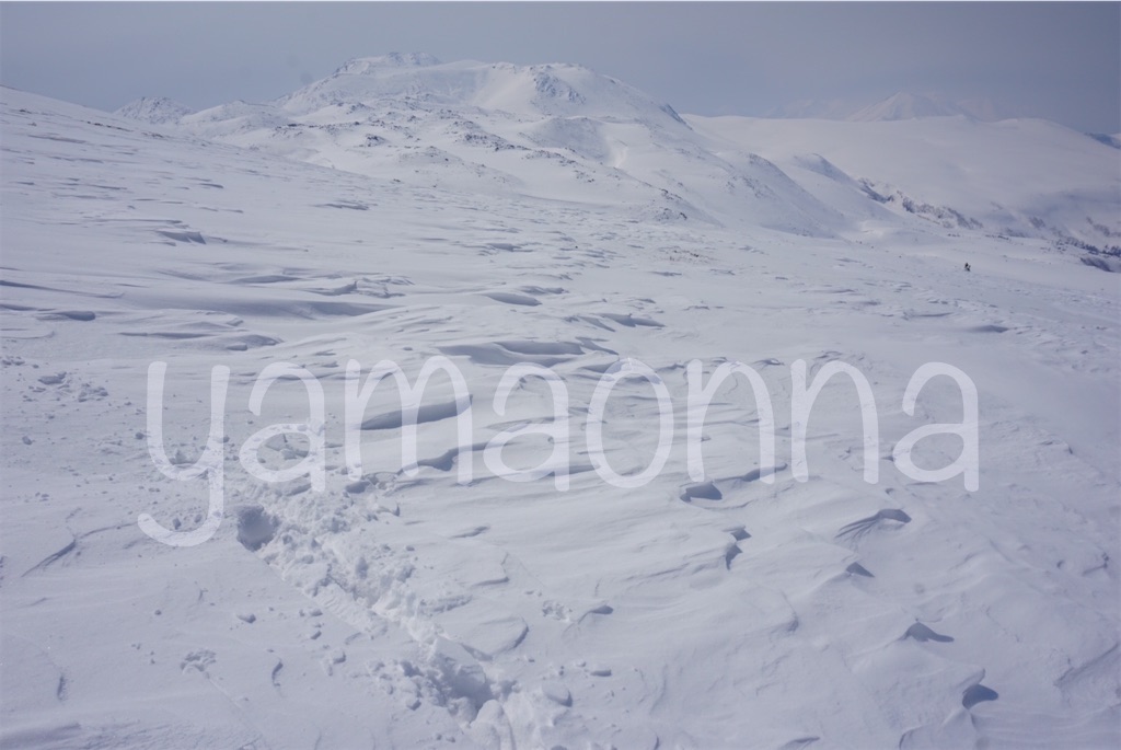 f:id:pecopecoooom:20221025212436j:image