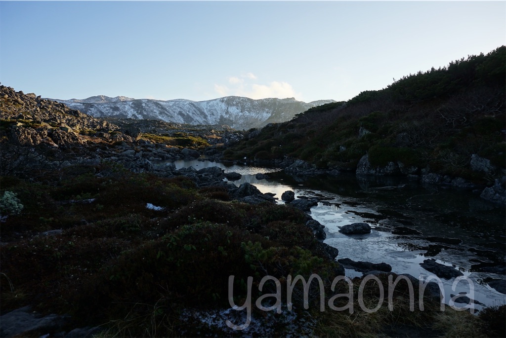 f:id:pecopecoooom:20221107220446j:image
