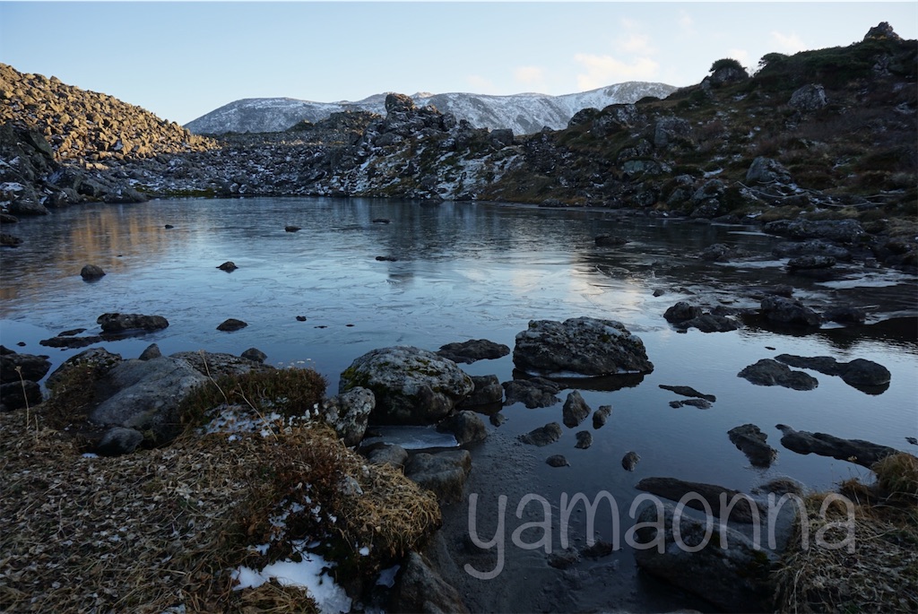 f:id:pecopecoooom:20221107220537j:image