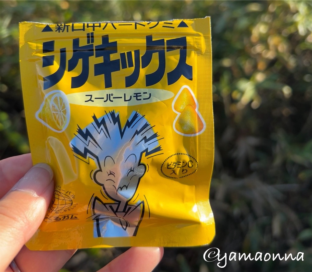 f:id:pecopecoooom:20241101210627j:image