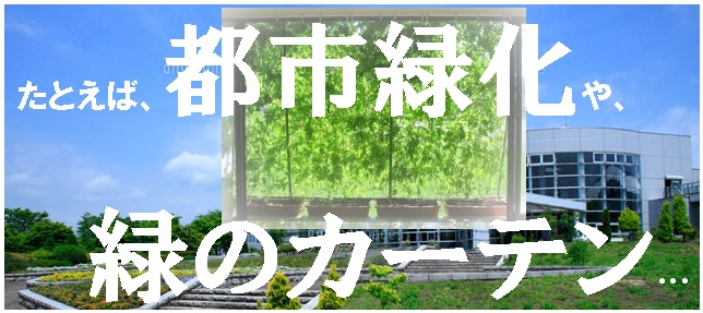 f:id:pecopecope:20181205010419j:plain f:id:pecopecope:20181205010419j:plain