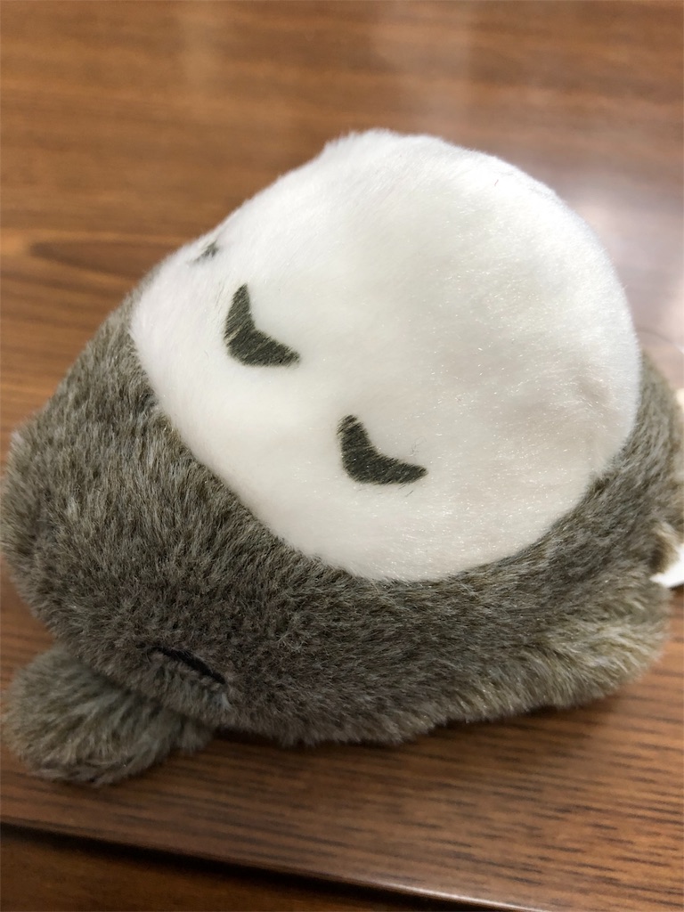 f:id:pecopeng:20181021162119j:image f:id:pecopeng:20181021162119j:image