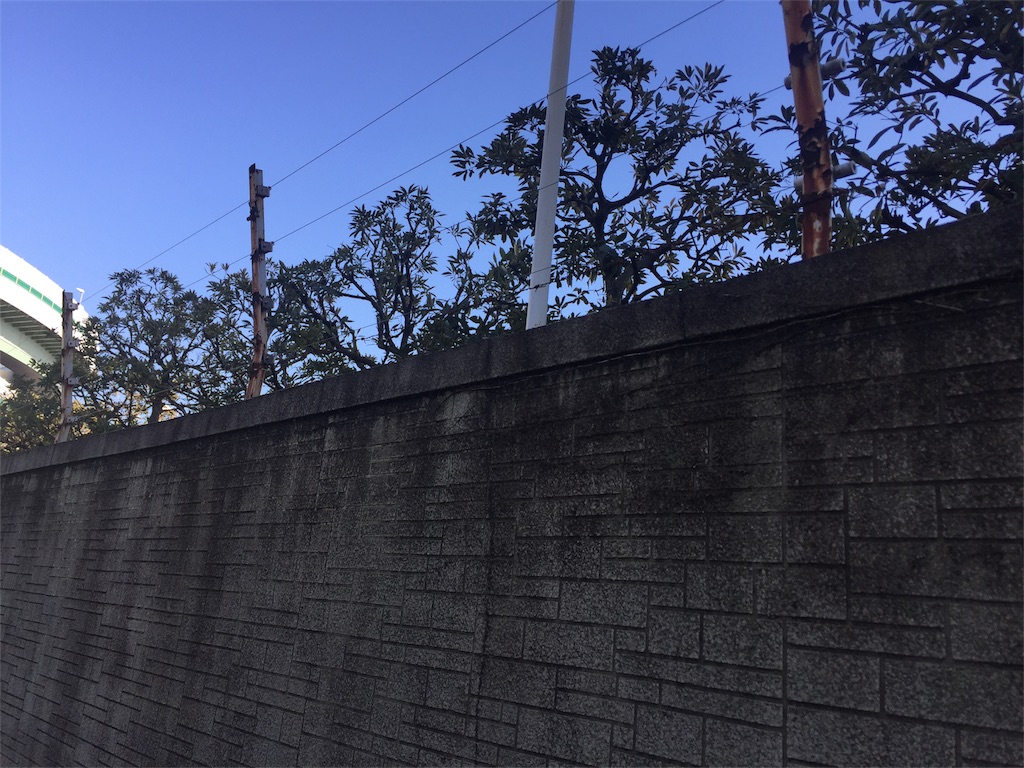 f:id:pecopocononki:20180406220627j:image f:id:pecopocononki:20180406220627j:image
