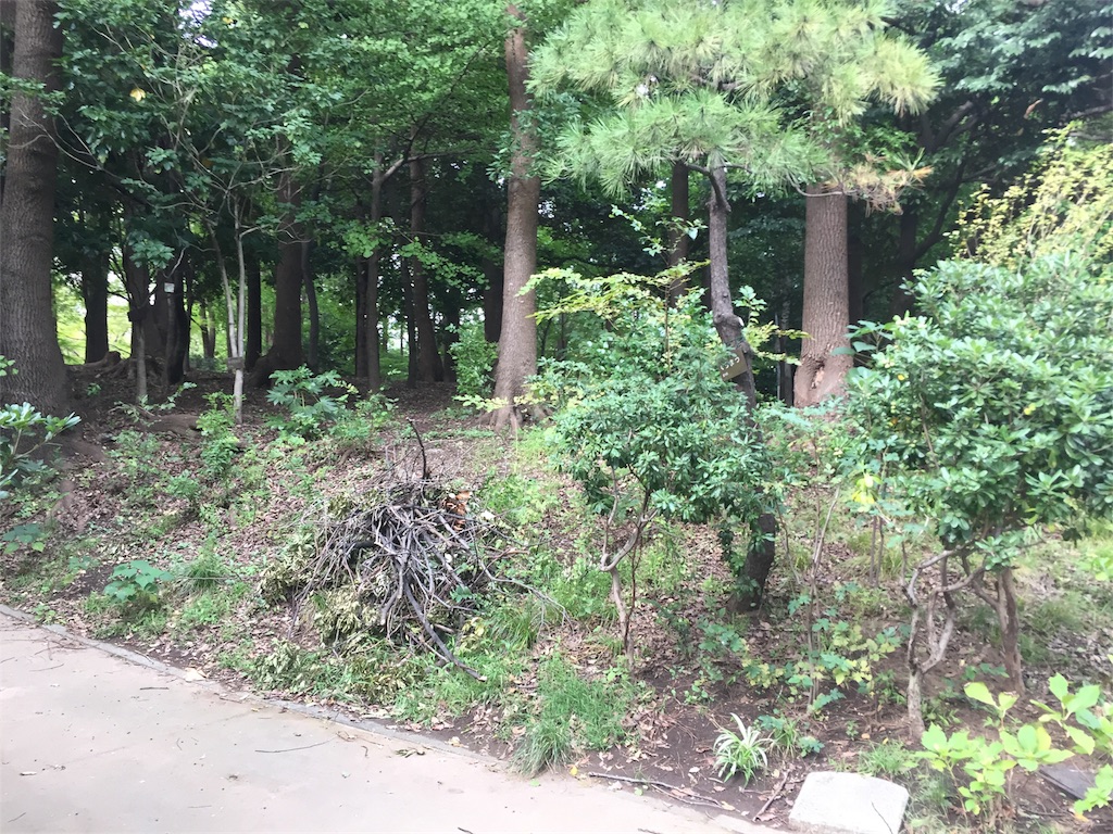 f:id:pecopocononki:20190616164844j:image f:id:pecopocononki:20190616164844j:image