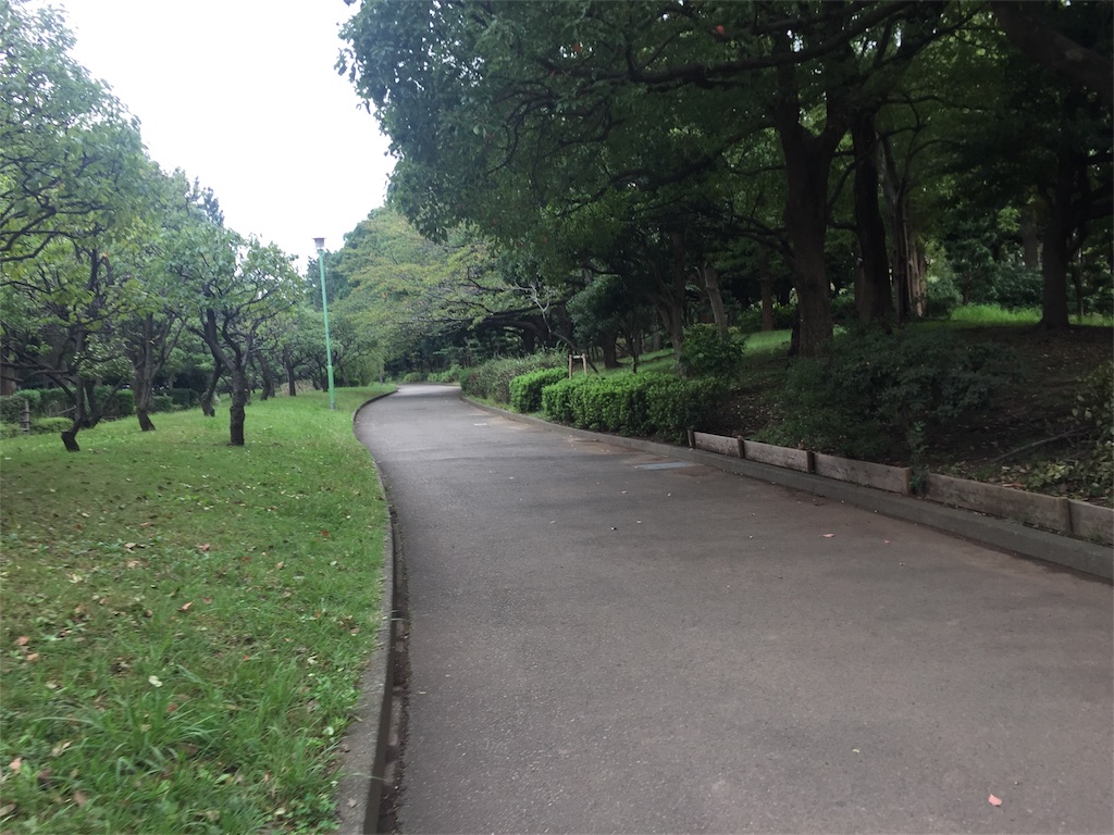 f:id:pecopocononki:20190616165305j:image f:id:pecopocononki:20190616165305j:image