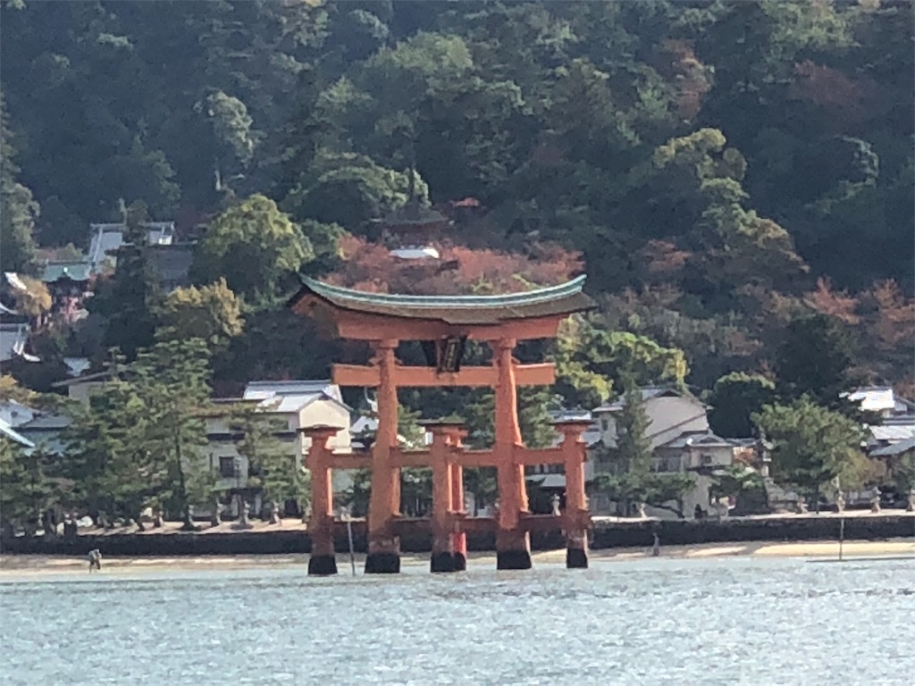 f:id:pecorin1009:20181115164959j:image