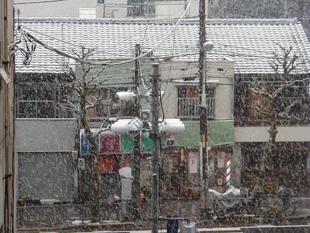 f:id:pecorin911:20041230101050:image