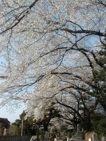 f:id:pecorin911:20050410181230:image